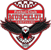 ACS ARO Muscelul Campulung